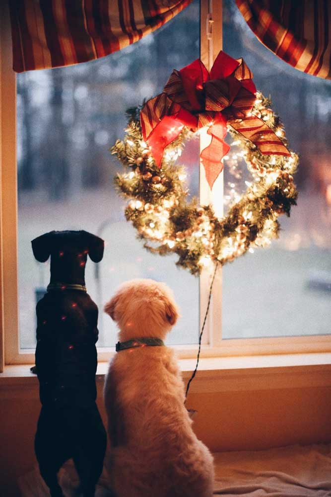Dreaming of a Debt-Free Christmas? This One’s For You | The Women's Accountant Create a Vision Of What a Debt-Free Christmas Could Bring You - Dreaming of a Debt-Free Christmas? This One’s For You | The Women's Accountant